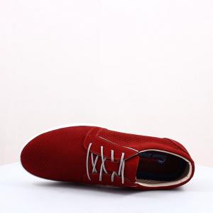 Чоловічі туфлі Mida (код 41943)