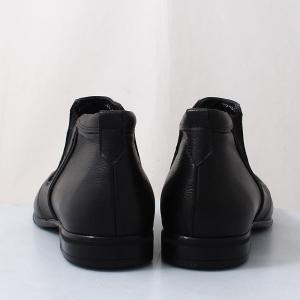 Чоловічі черевики Etor (код 47979)