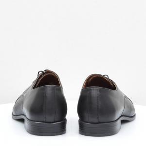 Чоловічі туфлі Mida (код 53986)