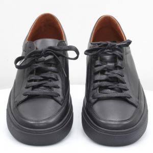 Чоловічі туфлі Vadrus (код 58256)