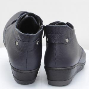 Жіночі черевики Inblu (код 59867)