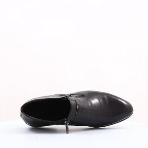 Чоловічі туфлі Carlo Delari (код 40670)