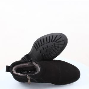 Чоловічі черевики Carlo Delari (код 47789)
