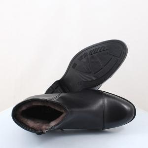 Чоловічі черевики Etor (код 48232)