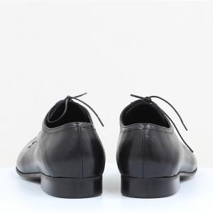 Чоловічі туфлі Giatoma Niccoli (код 49334)