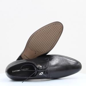 Чоловічі туфлі Giatoma Niccoli (код 49334)