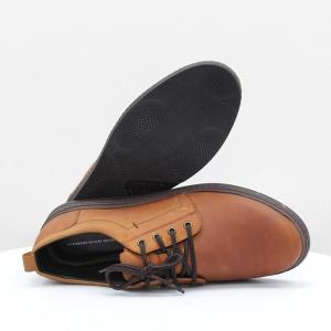 Чоловічі туфлі Mida (код 50804)
