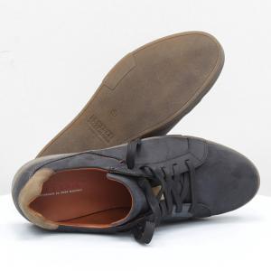 Чоловічі туфлі Mida (код 52298)
