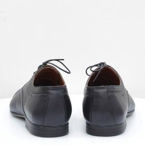 Чоловічі туфлі Mida (код 53032)