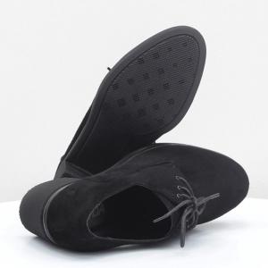 Жіночі туфлі Mida (код 54523)