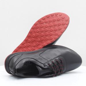 Чоловічі туфлі Stylen Gard (код 54609)