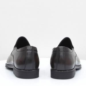 Чоловічі туфлі Vadrus (код 56028)