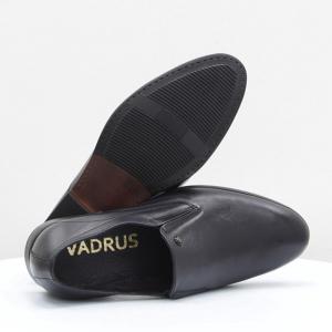 Чоловічі туфлі Vadrus (код 56234)
