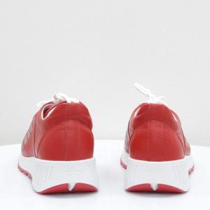 Жіночі кросівки Mida (код 56423)