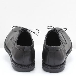 Чоловічі туфлі Vadrus (код 56703)