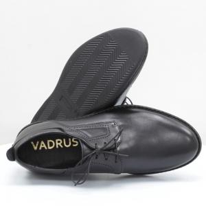 Чоловічі туфлі Vadrus (код 56703)