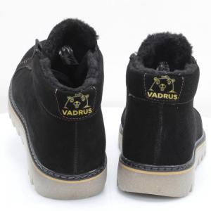 Чоловічі черевики Vadrus (код 57228)